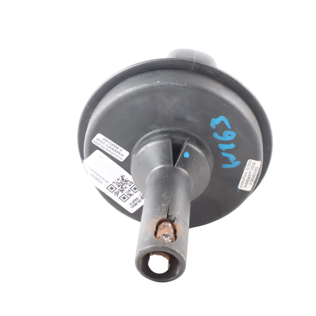 Spare Wheel Cover Bolt With Lock 1634030166 to Mercedes W163 with Part number A1634030166 Mercedes W163 Spare Wheel Cover Bolt With Lock 1634030166 - SKU A1634030166 - Part number A1634030166