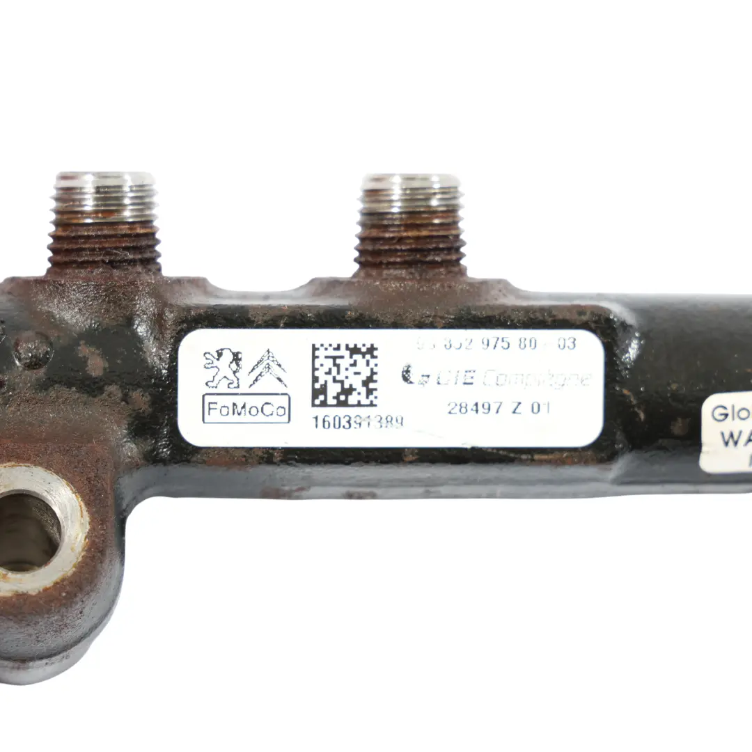 Tubo Presión Combustible Línea Inyección Rail 1.6 TDCi 9685297580 para Ford Transit con número de pieza 1697684 Ford Transit Tubo Presión Combustible Línea Inyección Rail 1.6 TDCi 9685297580 - SKU 1697684 - Número de pieza 1697684