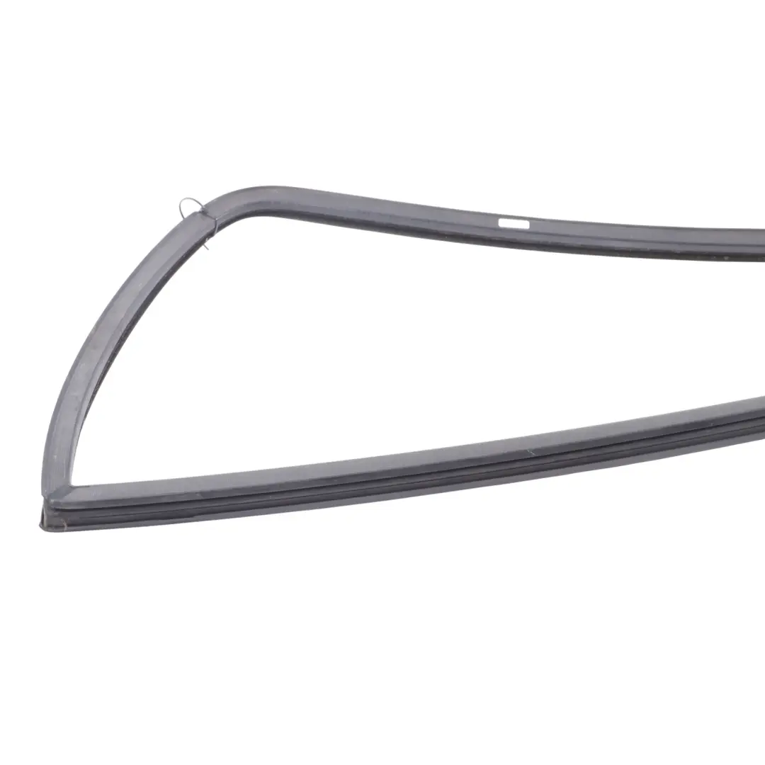 Ford Transit MK8 Guarnizione Vetro Porta Anteriore Destra YC15-V21596-AS - SKU 1801569 - Numero di parte 1801569