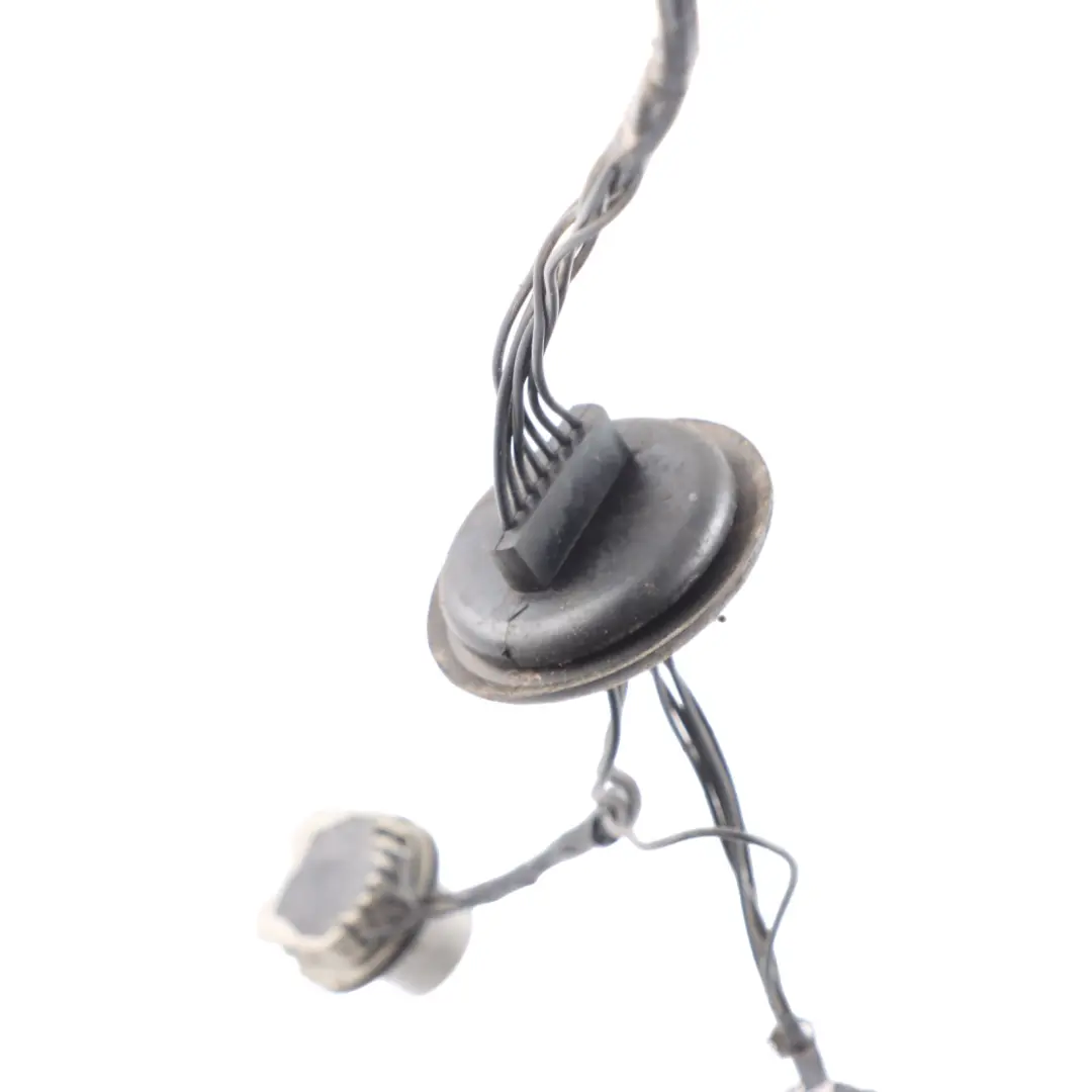 MK2 Arnés Cableado Enchufe Luz Trasera para Ford Transit Connect con número de pieza 2390062 Ford Transit Connect MK2 Arnés Cableado Enchufe Luz Trasera - SKU 2390062 - Número de pieza 2390062