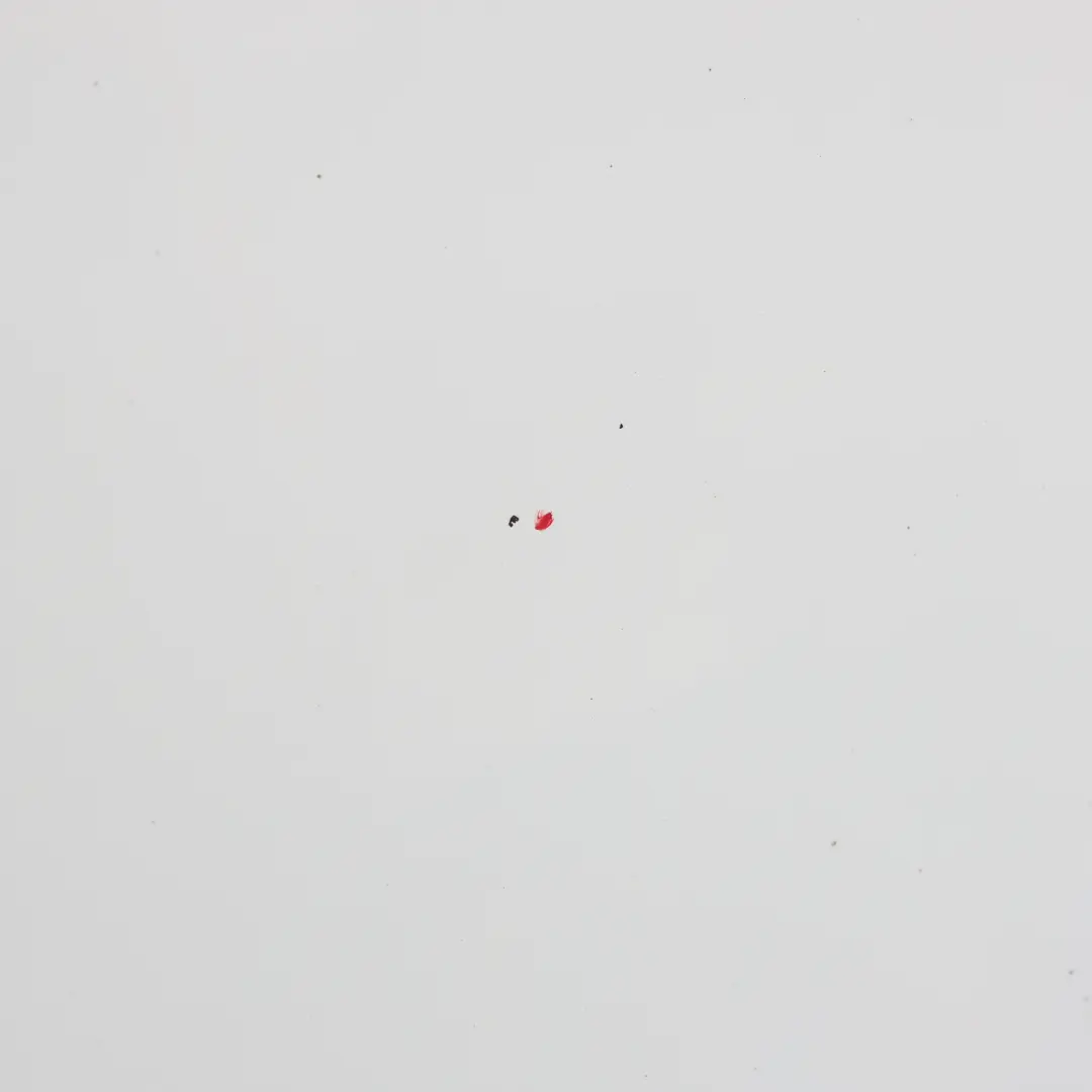 Door Left N/S Boot Tailgate Trunk Lid Frozen White Z2 to Ford Transit Connect Rear with Part number 2431232 Ford Transit Connect Rear Door Left N/S Boot Tailgate Trunk Lid Frozen White Z2 - SKU 2431232-FW - Part number 2431232