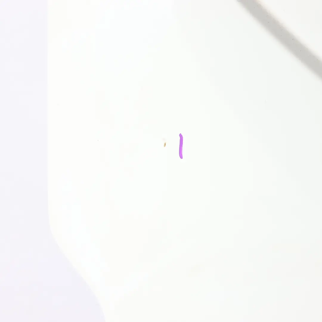 Door Left N/S Boot Lid Tailgate Frozen White - Z2 to Ford Transit Custom Rear with Part number 2778099-FW Ford Transit Custom Rear Door Left N/S Boot Lid Tailgate Frozen White - Z2 - SKU 2778099-FW - Part number 2778099-FW