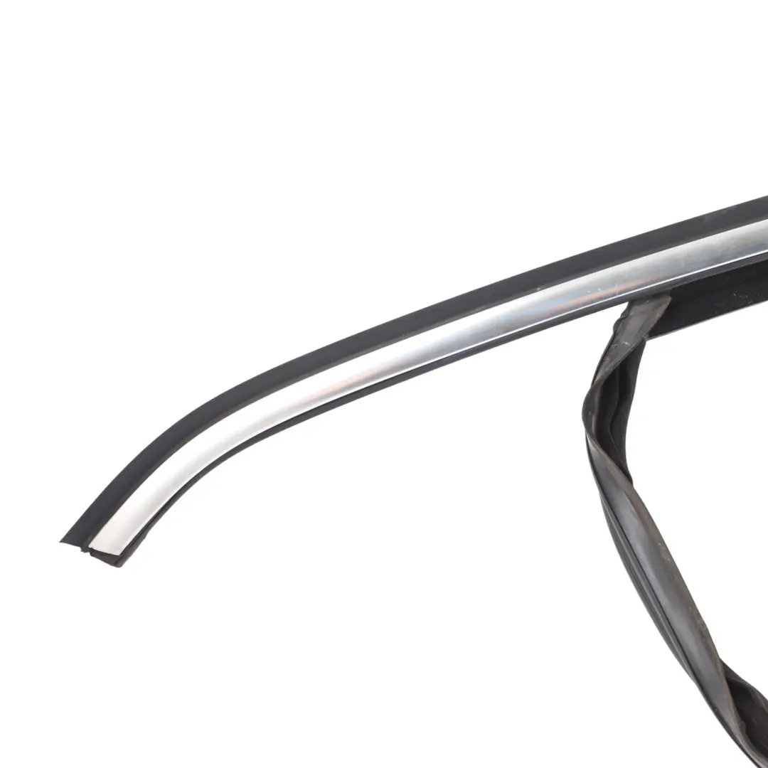 Volkswagen Tiguan 5N Window Strip Door Front Left N/S Frame Chrome - SKU 5N0837431 - Part number 5N0837431