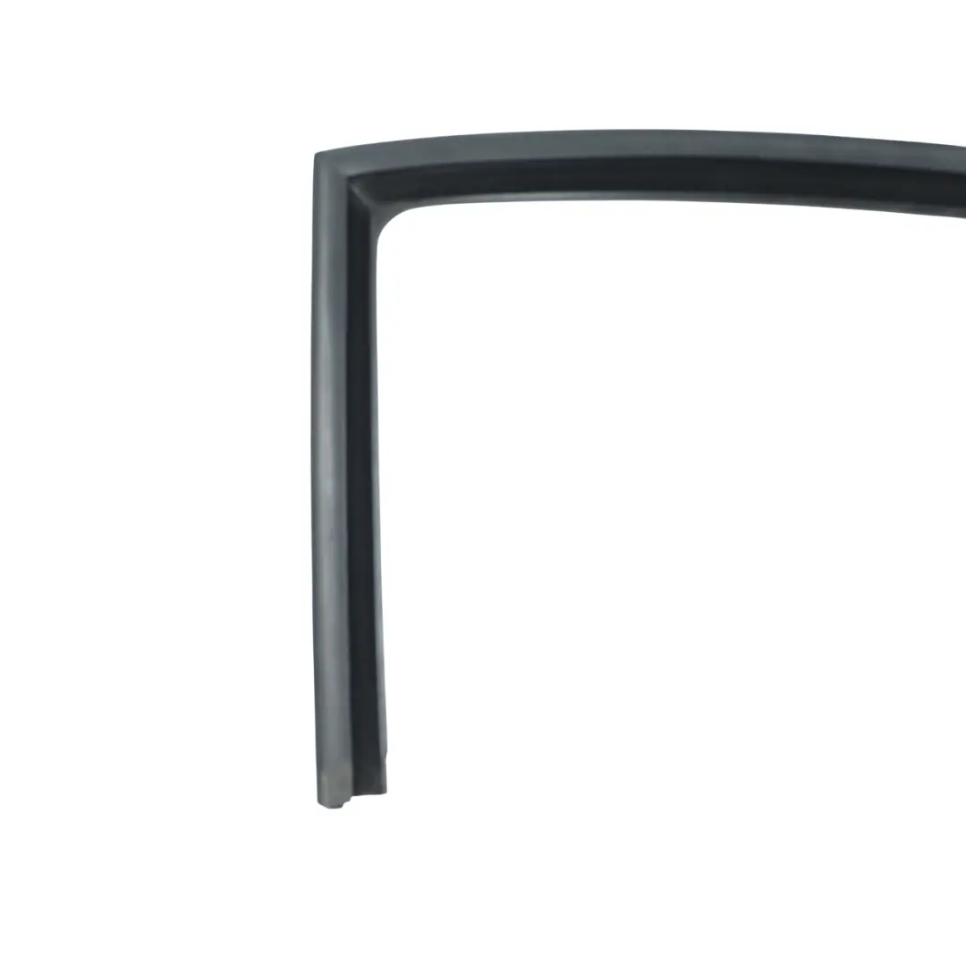 Seat Altea XL Door Window Seal Gasket Weatherstrip Rear Left N/S - SKU 5P8839431 - Part number 5P8839431