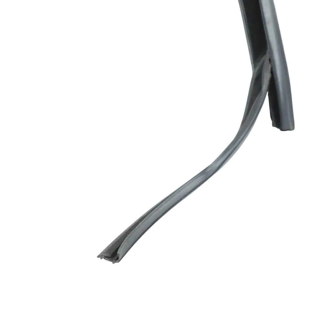 Seat Altea XL Door Window Seal Gasket Weatherstrip Rear Left N/S - SKU 5P8839431 - Part number 5P8839431