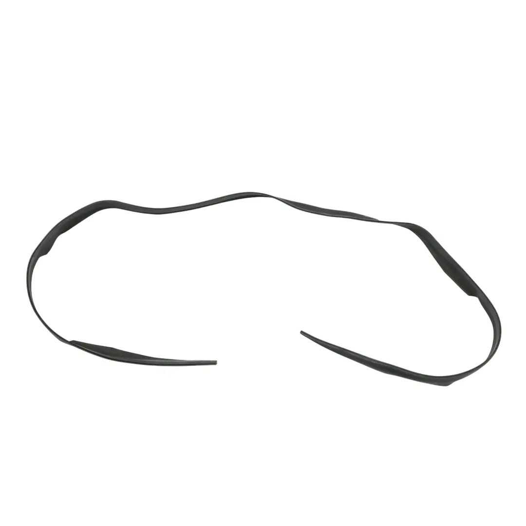 BMW X6 E71 Panoramic Sunroof Seal Edge Gasket Rubber - SKU 7189241 - Part number 7189241