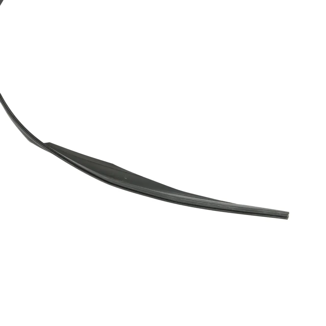 BMW X6 E71 Panoramic Sunroof Seal Edge Gasket Rubber - SKU 7189241 - Part number 7189241