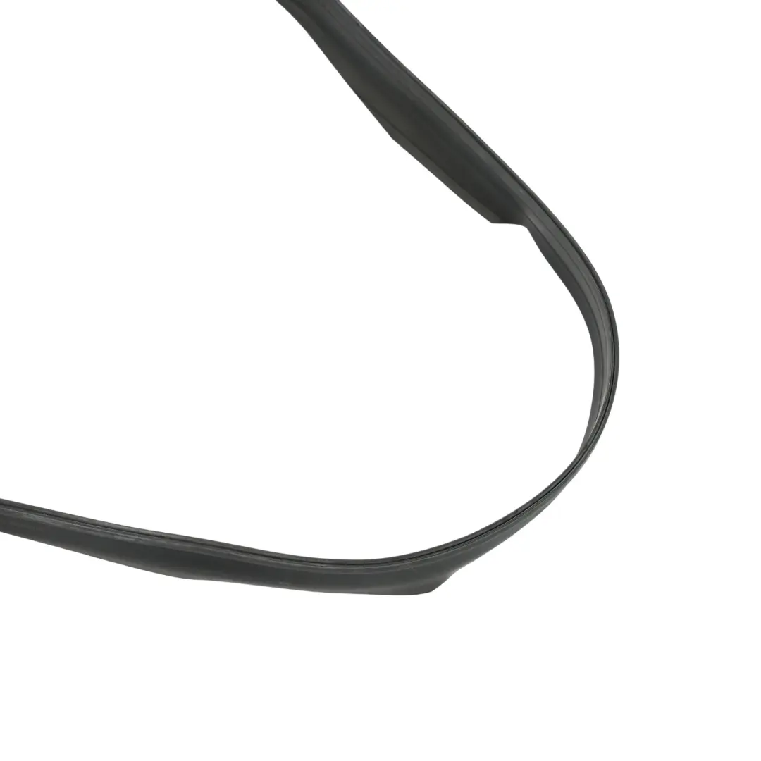 BMW X6 E71 Panoramic Sunroof Seal Edge Gasket Rubber - SKU 7189241 - Part number 7189241