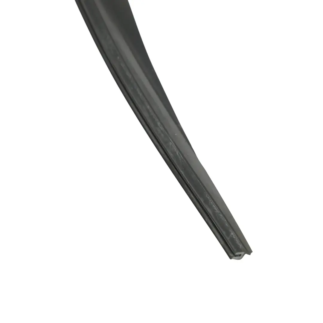 BMW X6 E71 Panoramadach Dichtung Randdichtung Gummi - SKU 7189241 - Teilenummer 7189241