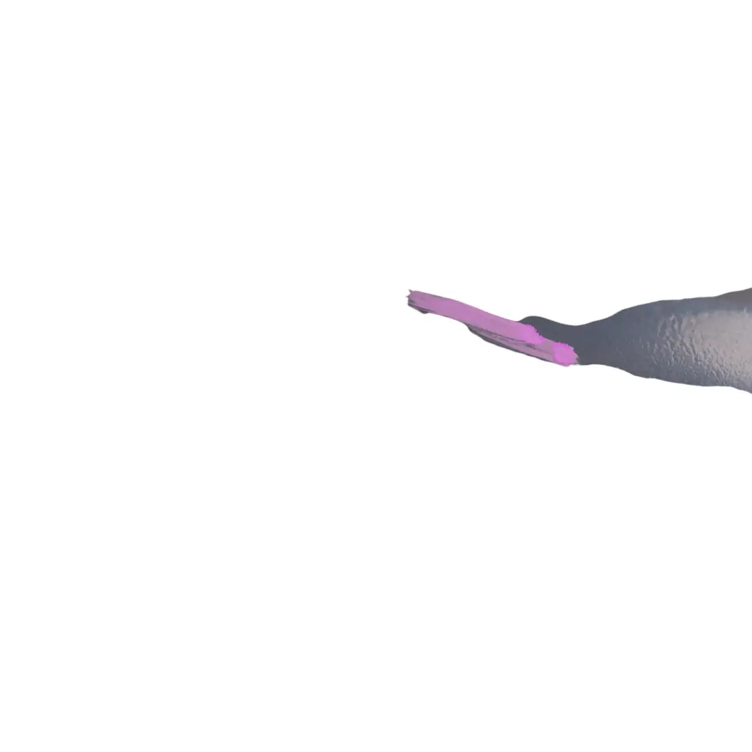 BMW X5 E70 M Sport Front Cover Wheel Arch Right O/S Tiefseeblau Metallic A76 - SKU 8037292-DSB - Part number 8037292