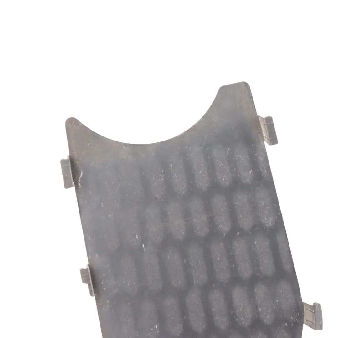 BMW F10 F11 Grille Protection Phare Antibrouillard Avant Gauche - SKU 8049673 - Numéro de pièce 8049673
