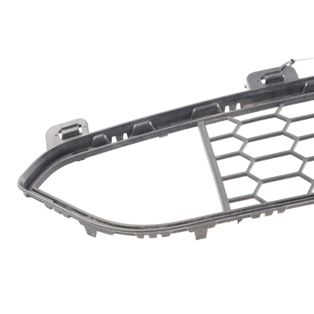 Front Bumper Grille Lower Middle Grill Grid Trim to BMW X5 F15 M Sport with Part number 8054012 BMW X5 F15 M Sport Front Bumper Grille Lower Middle Grill Grid Trim - SKU 8054012-1 - Part number 8054012
