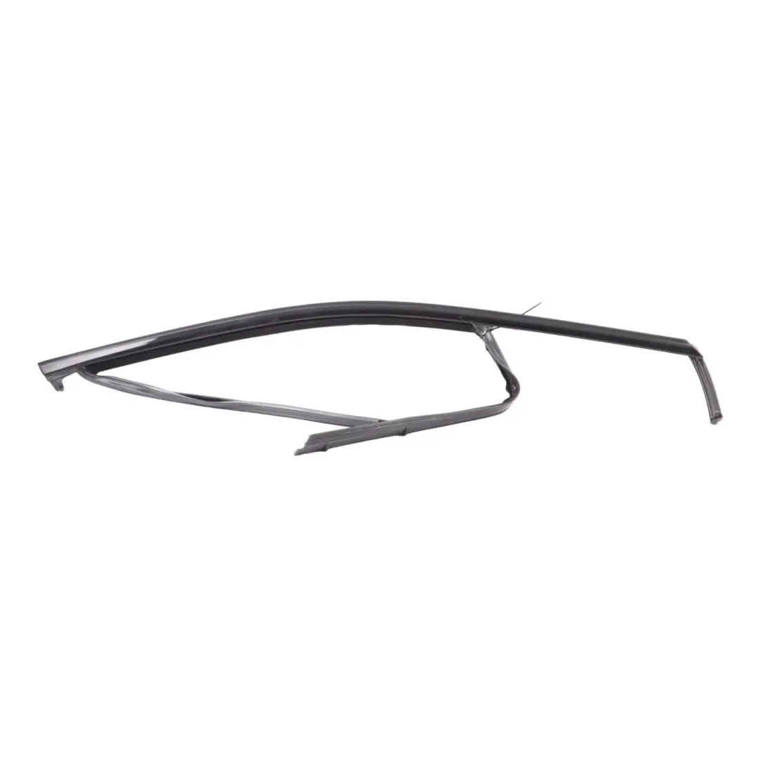 BMW U06 Door Window Gasket Seal Front Right O/S Guide Sealing Strip - SKU 8496272 - Part number 8496272