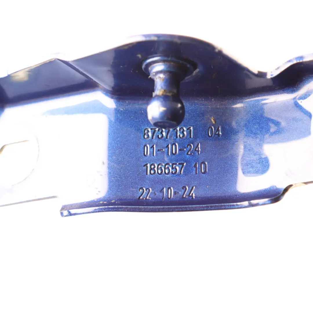 Front Mount Bonnet Hood Left N/S Portimao Blue Metallic - C31 to BMW U06 with Part number 8737131 BMW U06 Front Mount Bonnet Hood Left N/S Portimao Blue Metallic - C31 - SKU 8737131-POR - Part number 8737131