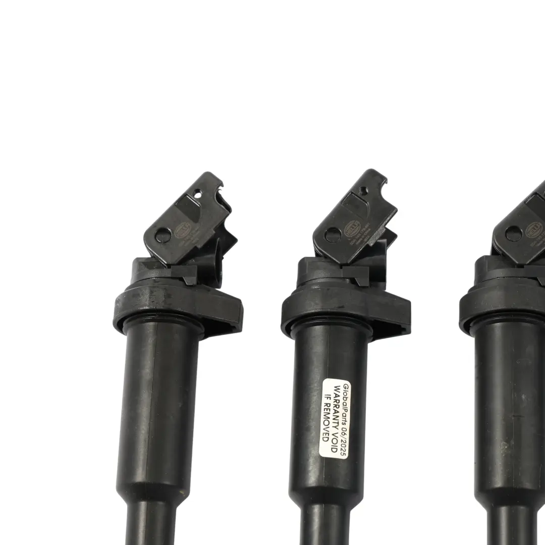 Bobina Di Accensione Benzina Set per BMW E46 E53 E60 E81 E90 E91 F10 F20 F30 con numero di parte 1712219 BMW E46 E53 E60 E81 E90 E91 F10 F20 F30 Bobina Di Accensione Benzina Set - SKU 1712219-2 - Numero di parte 1712219