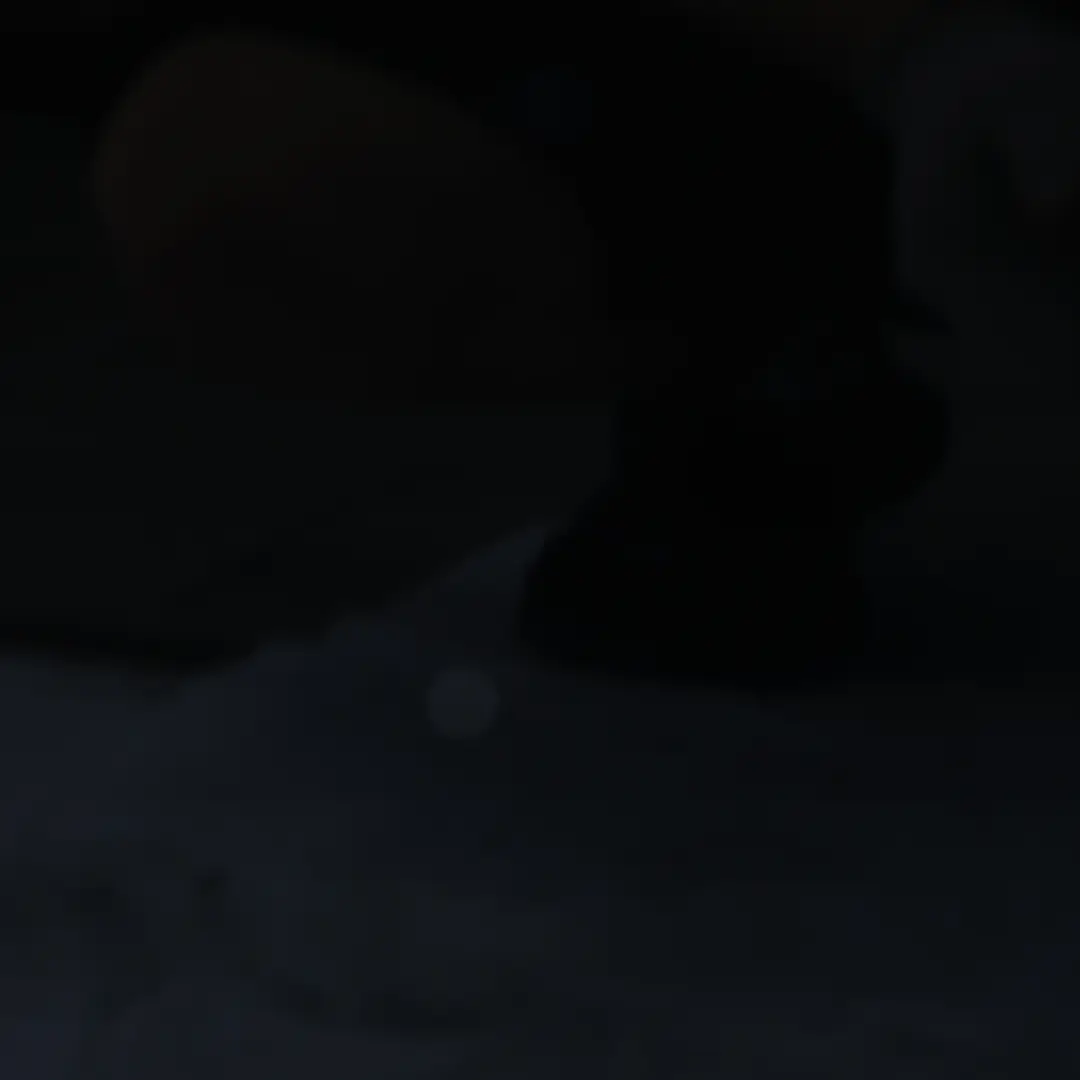 Puerta Delantera Izquierda Brilliant Black Metallic Negro - Y9B para Audi A4 B8 con número de pieza 8K0831051J Audi A4 B8 Puerta Delantera Izquierda Brilliant Black Metallic Negro - Y9B - SKU 8K0831051J-BBL1 - Número de pieza 8K0831051J