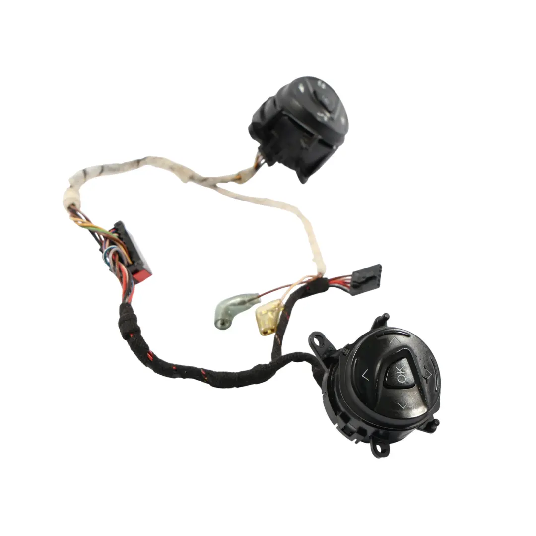 Ford Transit Mk8 Volante Multifunción Control Interruptor Botón Set - SKU AM5T-14K147-AA - Número de pieza AM5T-14K147-AA