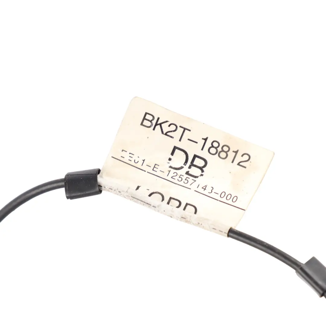 Roof Antenna Aerial Loom Cable Wiring to Ford Transit Custom Connect with Part number BK2T18812DB Ford Transit Custom Connect Roof Antenna Aerial Loom Cable Wiring - SKU BK2T18812DB - Part number BK2T18812DB