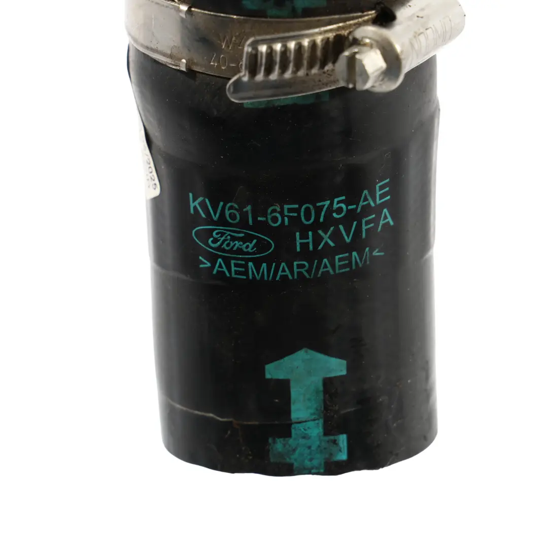 Przewód Powietrza Intercoolera do Ford Transit Connect 1.5 Tdci o numerze KV61-4F075-AE Ford Transit Connect 1.5 Tdci Przewód Powietrza Intercoolera - SKU KV61-6F075-AE - Numer Części KV61-4F075-AE