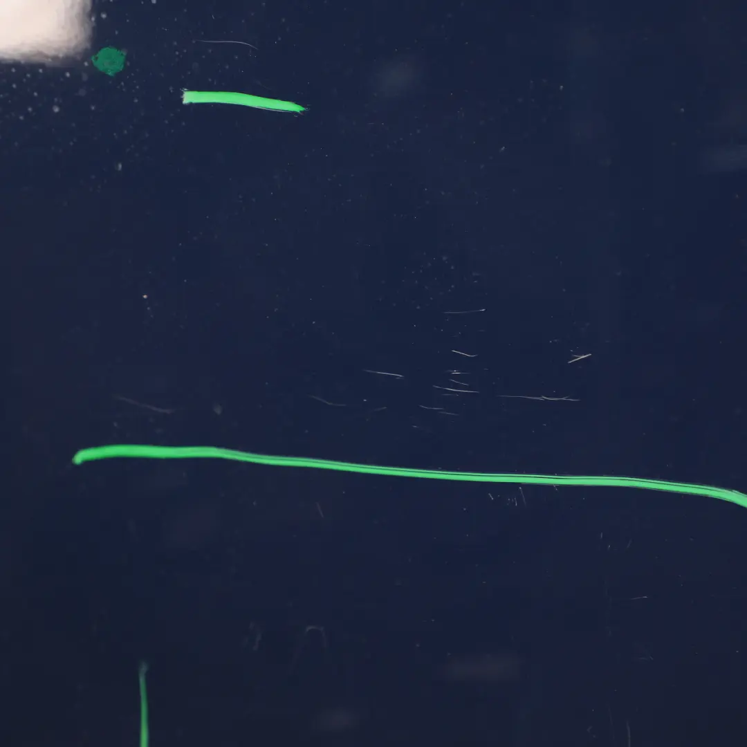 Door Front Left N/S Door Cover Shell Blazer Blue - 687 to Ford Transit Custom with Part number 2488103 Ford Transit Custom Door Front Left N/S Door Cover Shell Blazer Blue - 687 - SKU RHD-2488103-BLB - Part number 2488103