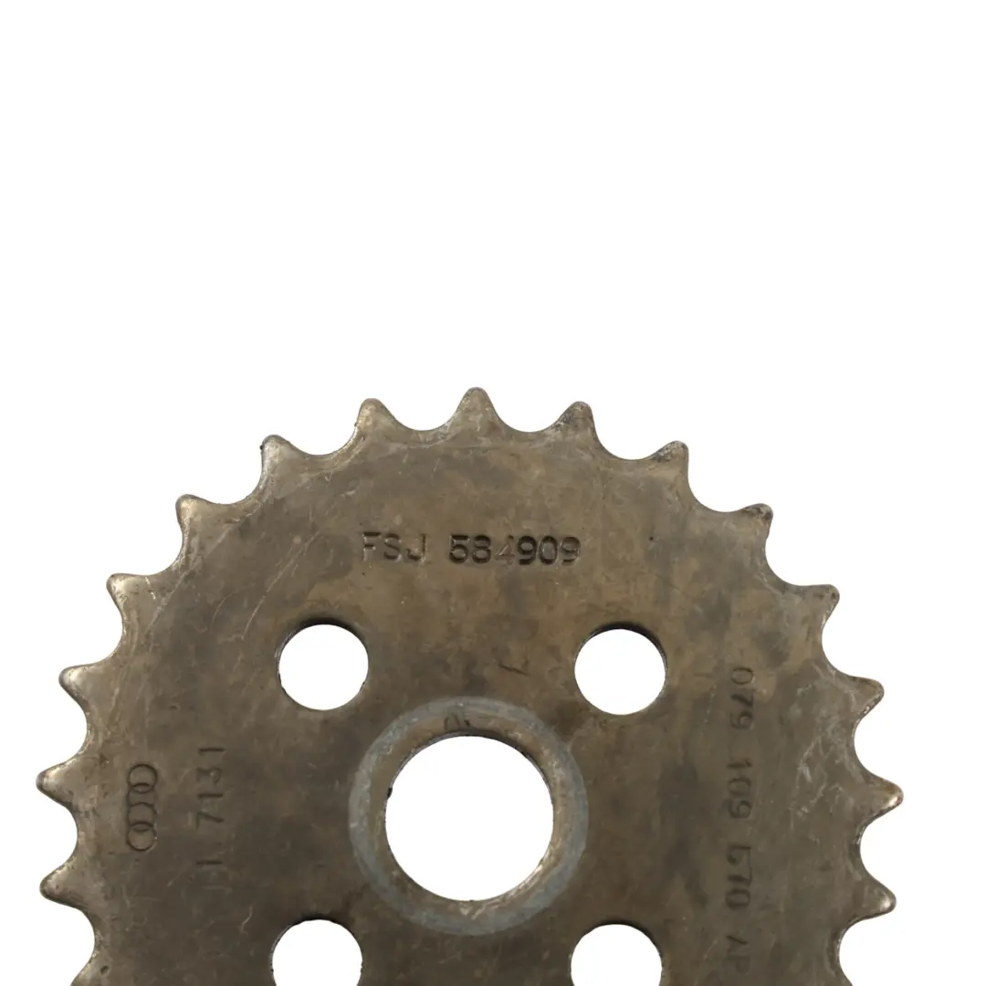 Motore Pompa Olio Catena Pignone 4.2 TDI per Audi A8 D4 Q7 4L con numero di parte 079109570AP Audi A8 D4 Q7 4L Motore Pompa Olio Catena Pignone 4.2 TDI - SKU 079109570AP - Numero di parte 079109570AP