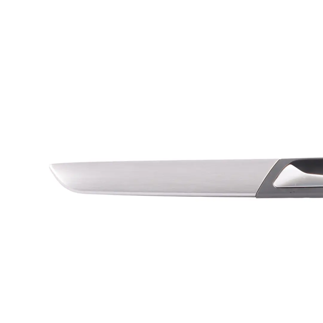 Door Card Strip Cover Handle Left N/S to VW Volkswagen Passat B7 Rear with Part number 3AA867419 VW Volkswagen Passat B7 Rear Door Card Strip Cover Handle Left N/S - SKU 3AA867419 - Part number 3AA867419