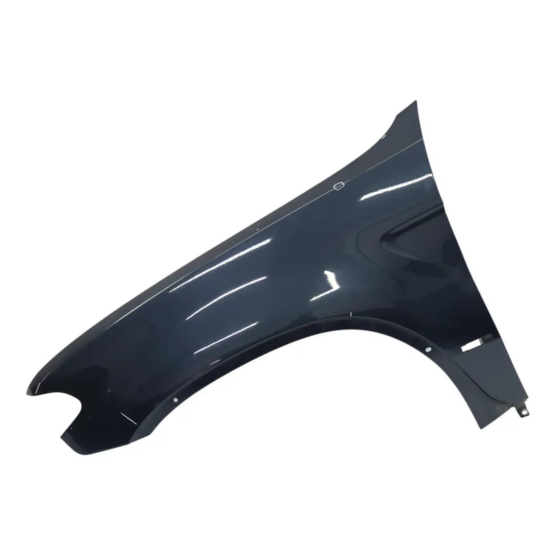 Pannello Laterale Parafango Anteriore Sinistro Toledoblau - 482 per BMW X5 E53 con numero di parte 7121007 BMW X5 E53 Pannello Laterale Parafango Anteriore Sinistro Toledoblau - 482 - SKU 7121007-TDB - Numero di parte 7121007