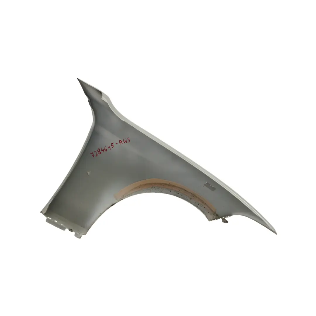 Panel Lateral Guardabarros Delantero Izquierdo Alpinweiss 3 - 300 para BMW F20 F21 con número de pieza 7284645 BMW F20 F21 Panel Lateral Guardabarros Delantero Izquierdo Alpinweiss 3 - 300 - SKU 7284645-AW3 - Número de pieza 7284645