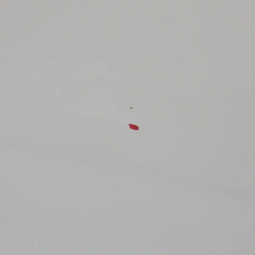 Panneau De Recouvrement De Porte Arrière Droite Blanc Poivre - 850 pour Mini F55 à propos du numéro de pièce 7327450 Mini F55 Panneau De Recouvrement De Porte Arrière Droite Blanc Poivre - 850 - SKU 7327450-PW - Numéro de pièce 7327450