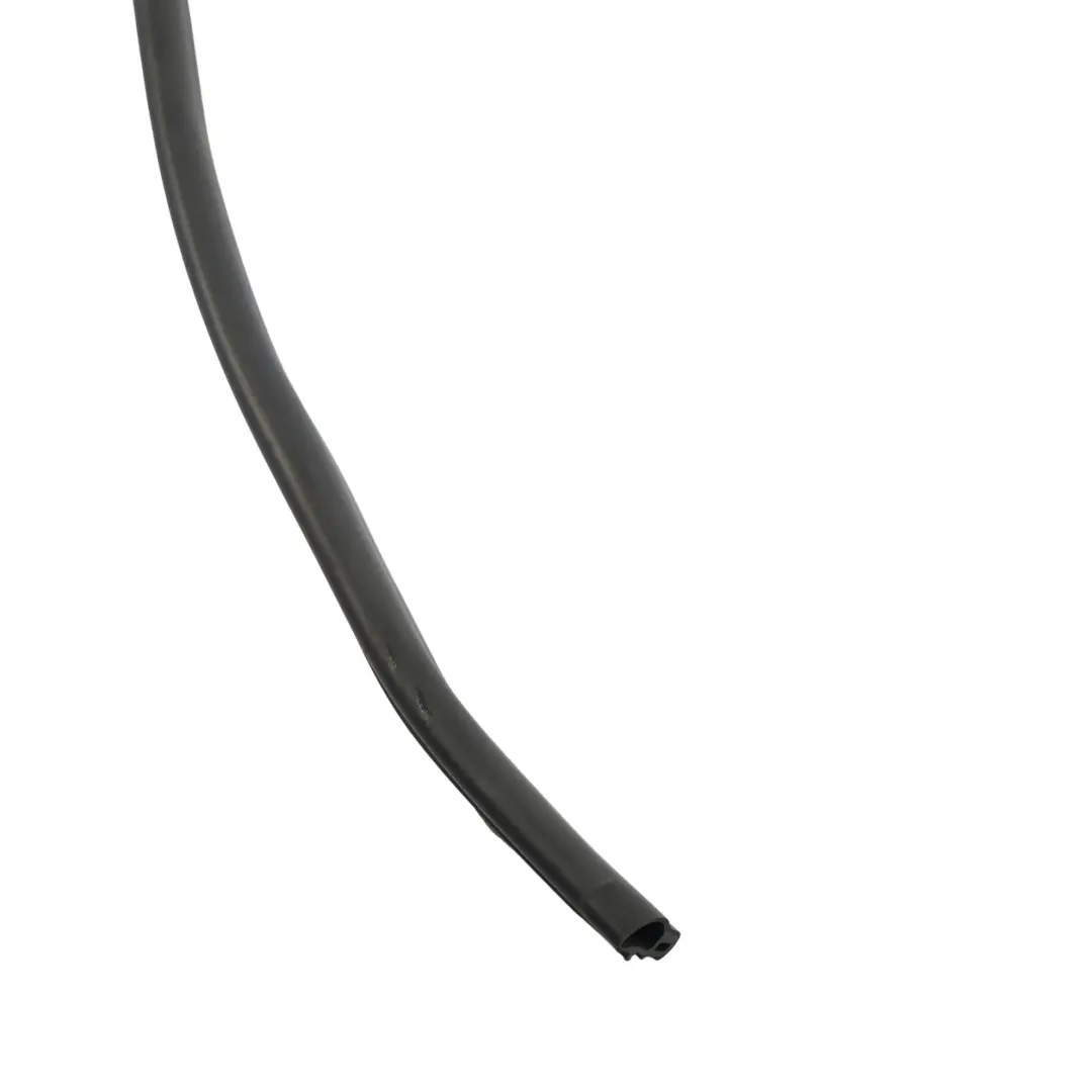 Junta De Goma Para Puerta Trasera Inferior Derecha para BMW G32 GT con número de pieza 7416352 BMW G32 GT Junta De Goma Para Puerta Trasera Inferior Derecha - SKU 7416352 - Número de pieza 7416352