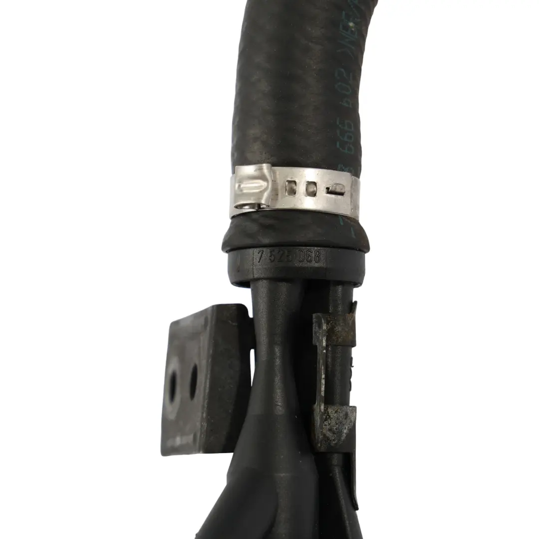 BMW X5 E53 Z4 E85 Manguera Tubo Codo Colector De Vacío - SKU 7503666-2 - Número de pieza 7503666