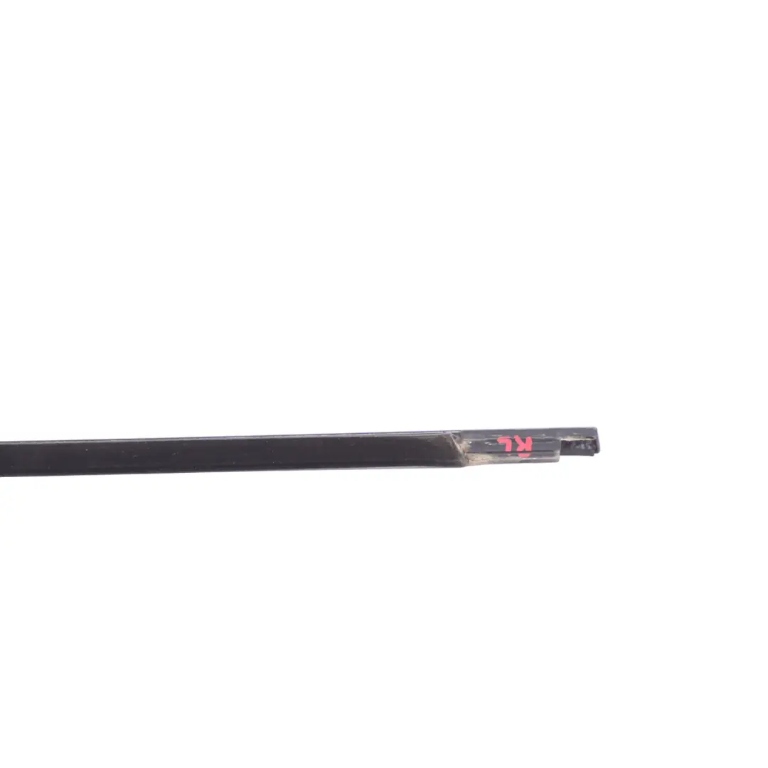 BMW E39 Rear Door Outer Weatherstrip Strip Seal Left N/S - SKU 8159021 - Part number 8159021