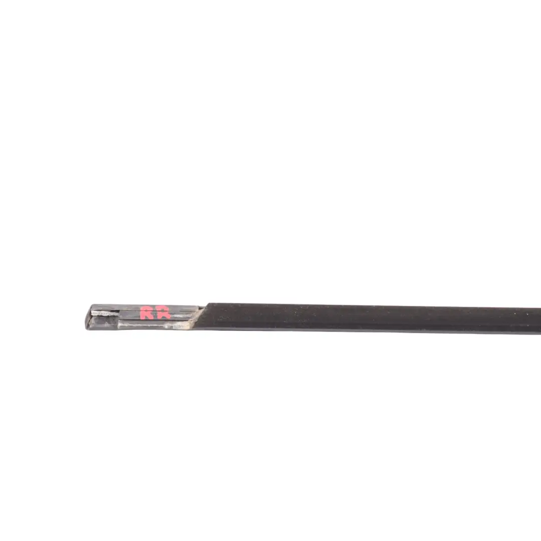 BMW E39 Rear Door Outer Weatherstrip Strip Seal Right O/S - SKU 8159022 - Part number 8159022