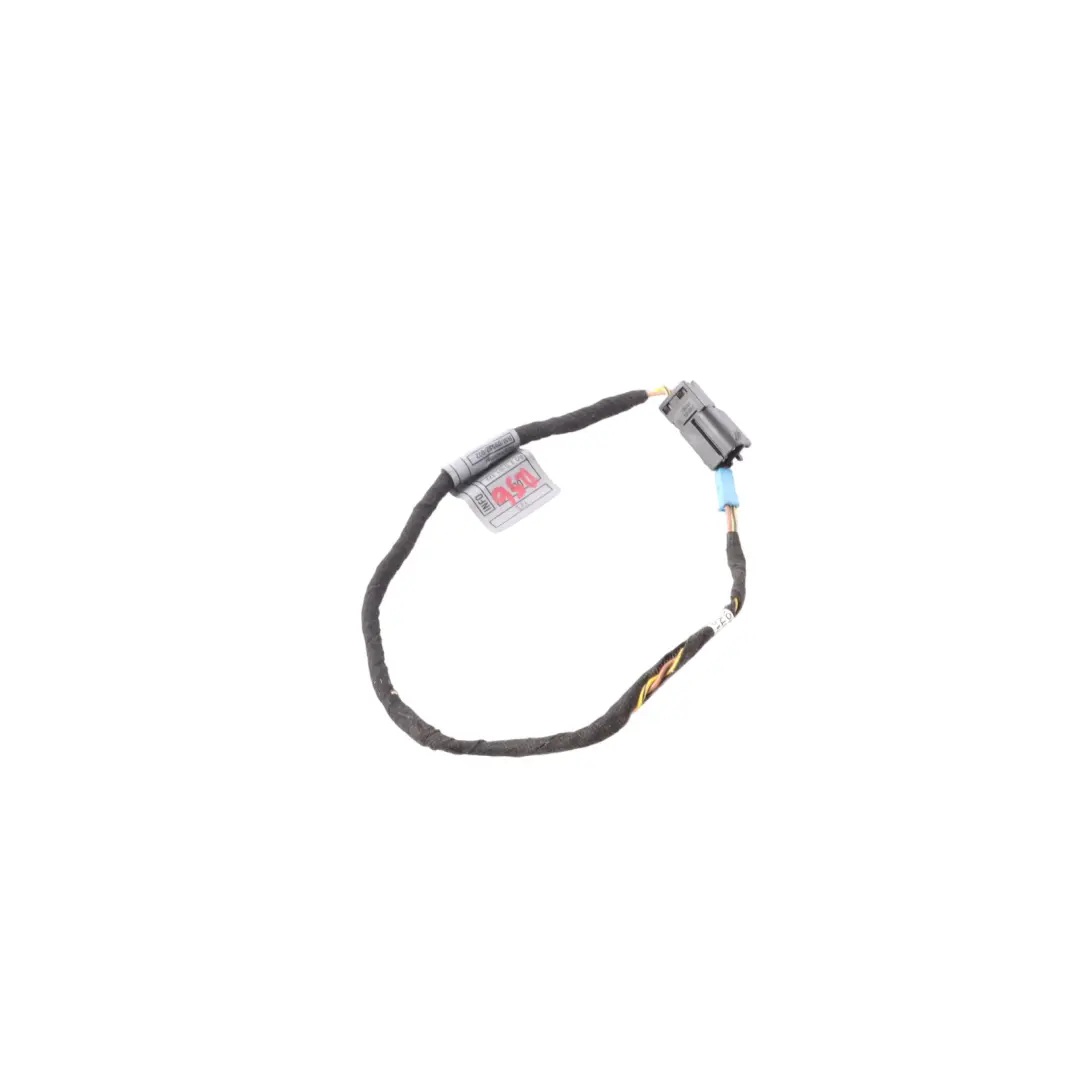  Door Wiring Mini Cooper R55 R56 R57 R58 R59 Passenger Cable - SKU 9137799 - Part number 61119137799