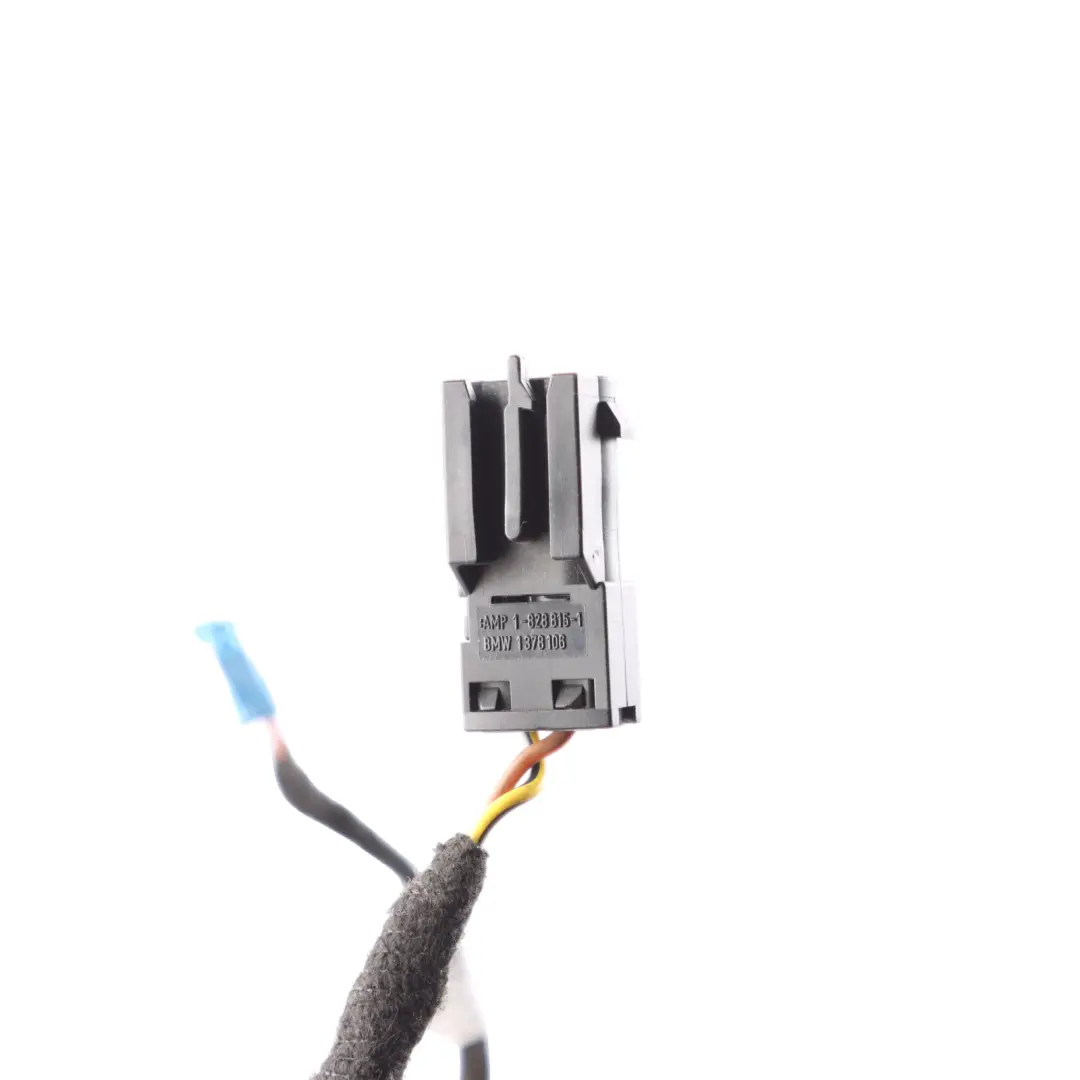  Door Wiring Mini Cooper R55 R56 R57 R58 R59 Passenger Cable - SKU 9137799 - Part number 61119137799