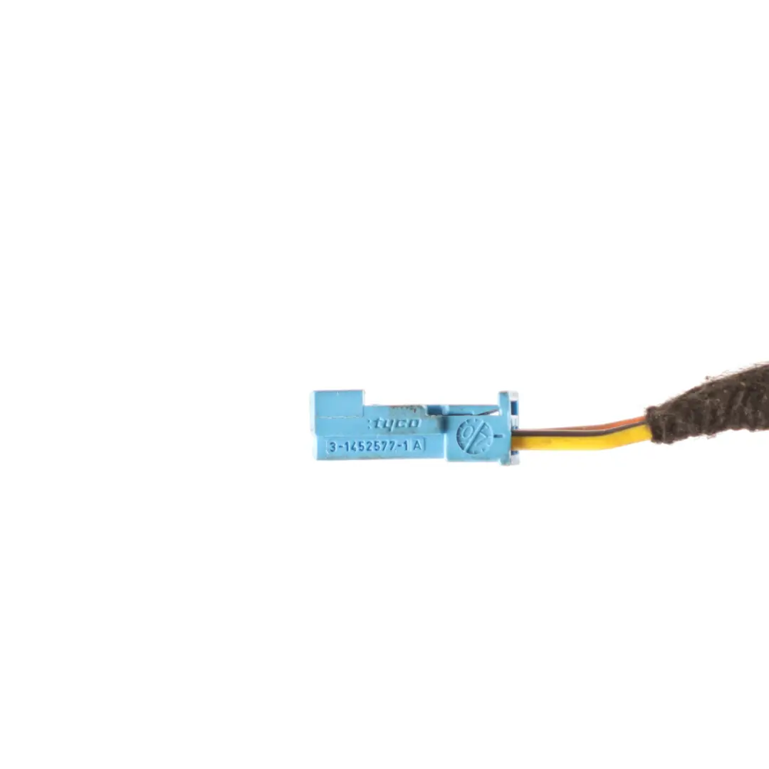  Door Wiring Mini Cooper R55 R56 R57 R58 R59 Passenger Cable - SKU 9137799 - Part number 61119137799