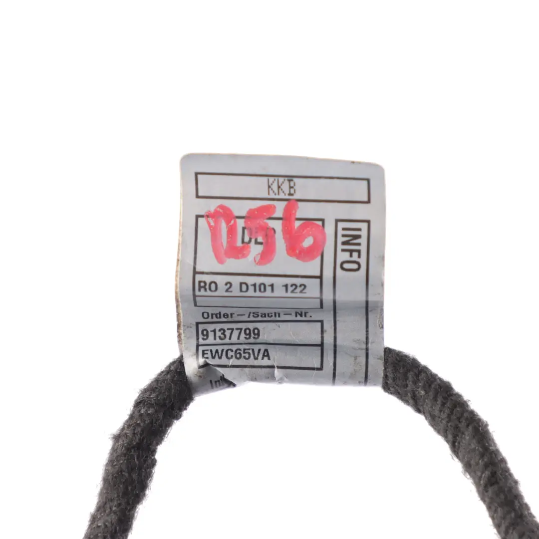  Door Wiring Mini Cooper R55 R56 R57 R58 R59 Passenger Cable - SKU 9137799 - Part number 61119137799