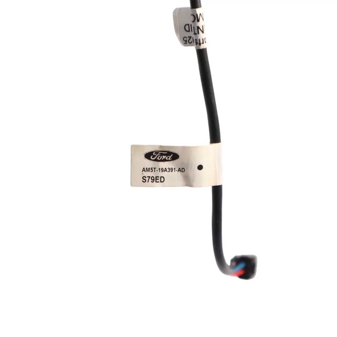 Ford Transit Mk8 Bluetooth Microphone Module Speaker Wiring Loom - SKU AM5T-19A391-AD - Part number AM5T-19A391-AD