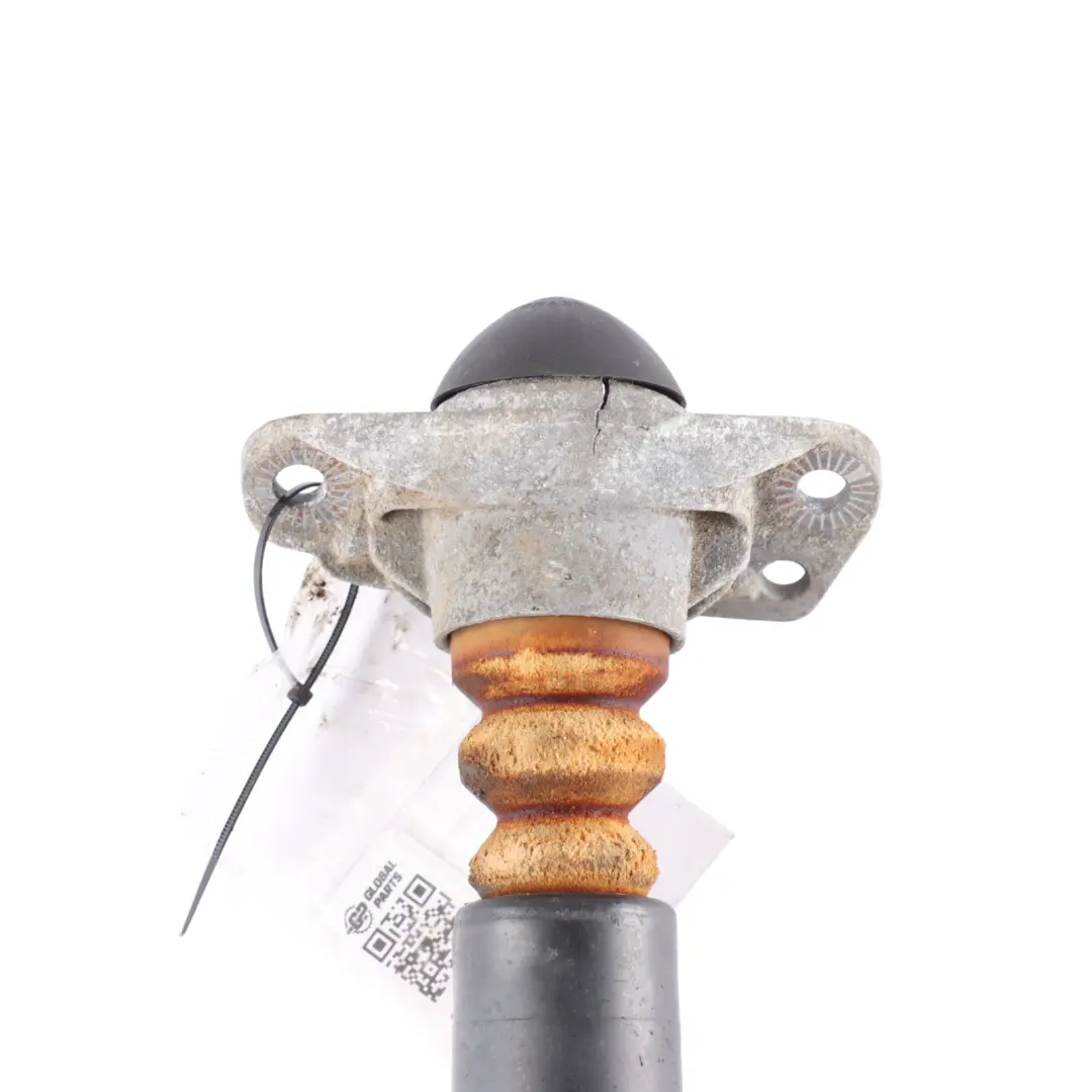 Shock Strut Absorber Left Right N/O/S to Volkswagen Golf VI Rear with Part number 1K0513029GP Volkswagen Golf VI Rear Shock Strut Absorber Left Right N/O/S - SKU 1K0513029GP - Part number 1K0513029GP