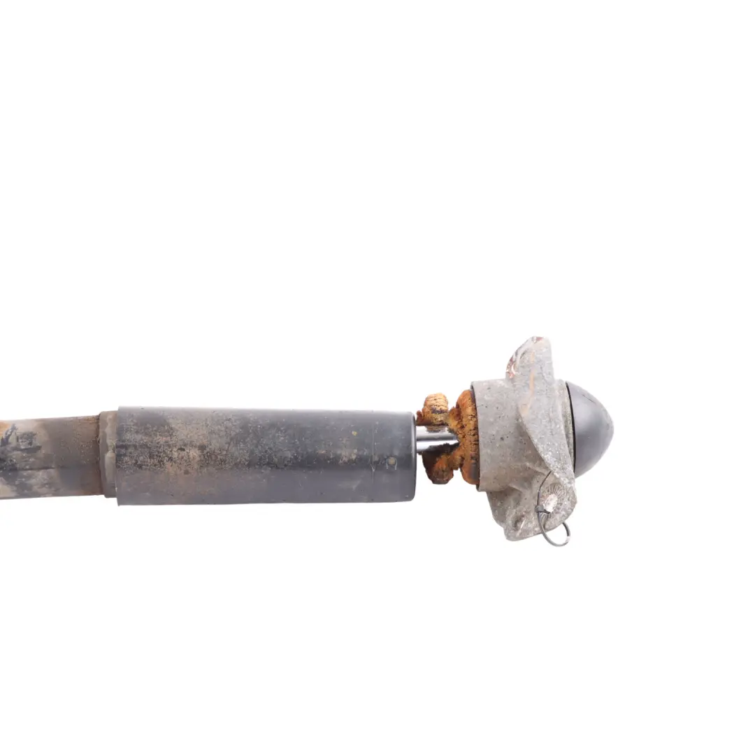 Shock Absorber Strut Left N/S to Volkswagen Scirocco III Rear with Part number 1K0513045B Volkswagen Scirocco III Rear Shock Absorber Strut Left N/S - SKU 1K0513045B - Part number 1K0513045B