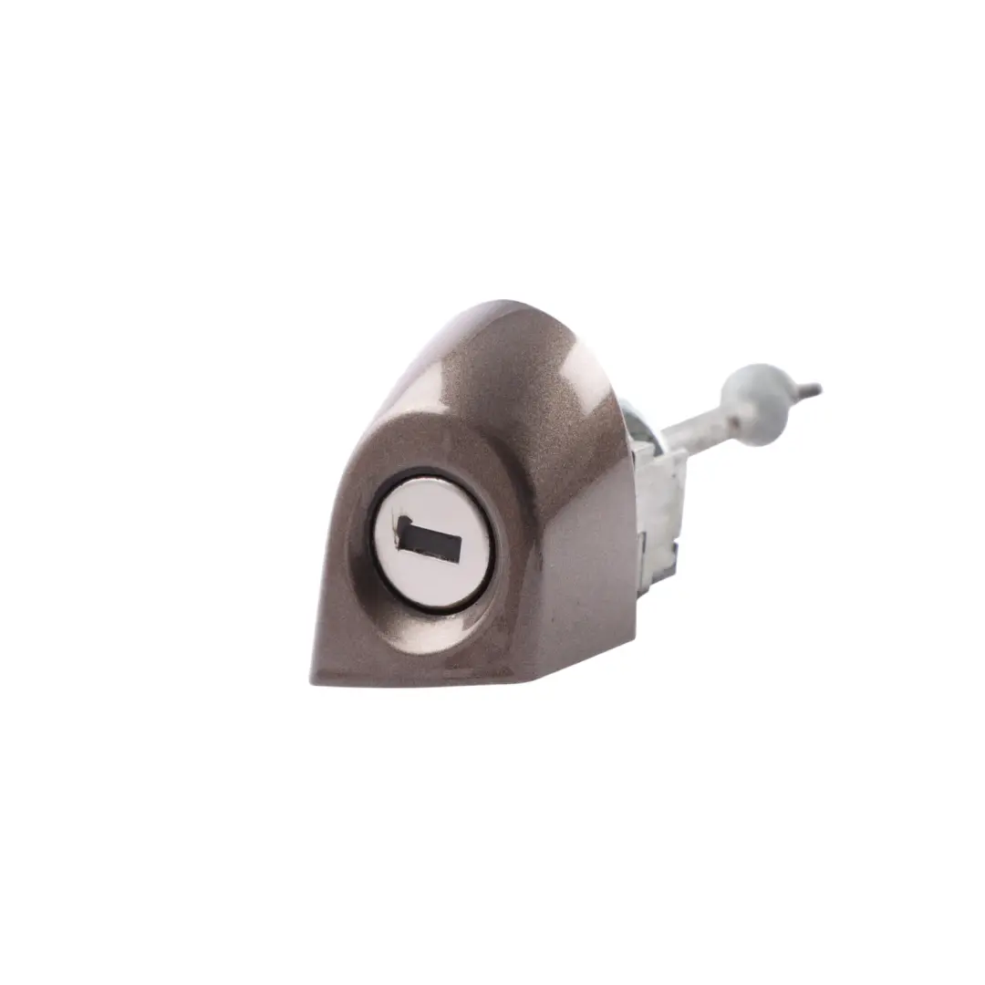 Door Handle Grab Front Right O/S Sparkling Bronze - B06 to BMW X1 E84 with Part number 2992986 BMW X1 E84 Door Handle Grab Front Right O/S Sparkling Bronze - B06 - SKU RHD-2992986-SPB - Part number 2992986