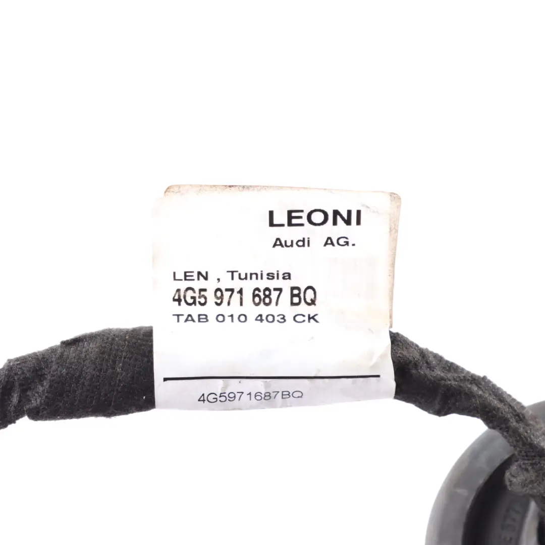 Puerta Trasera Arnés Cableado Cable Izquierdo para Audi A6 C7 4G con número de pieza 4G5971687BQ Audi A6 C7 4G Puerta Trasera Arnés Cableado Cable Izquierdo - SKU 4G5971687BQ - Número de pieza 4G5971687BQ