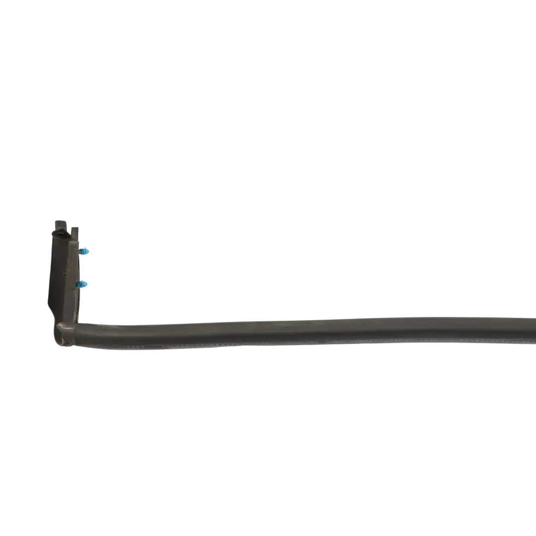 VW Golf Sportsvan Tür Fenster Führung Dichtung Hinten Rechts 510839434 - SKU 510839434C - Teilenummer 510839434C