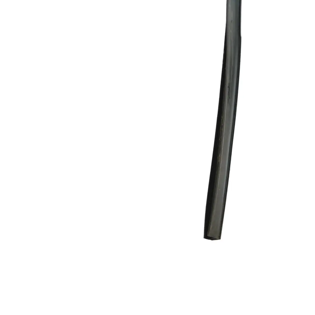 Volkswagen VW Golf Mk7 Window Guide Seal Front Left N/S 3-Door - SKU 5G3837431E - Part number 5G3837431E