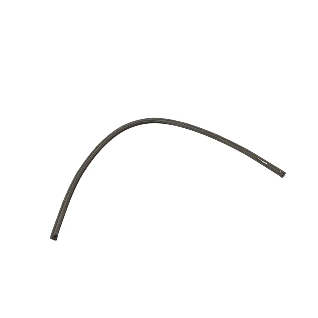Skoda Rapid NH1 VW Polo Mk6 Outer Door Seal Front Left Right O/S - SKU 5JA837697B - Part number 5JA837697B