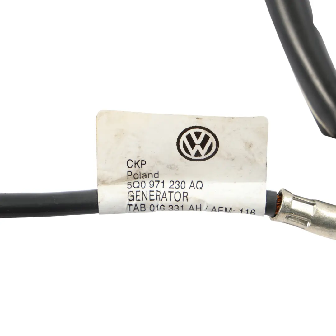 5F VW Golf Mk7 Wiązka Przewodów Alternatora do Seat Leon o numerze 5Q0971230AQ Seat Leon 5F VW Golf Mk7 Wiązka Przewodów Alternatora - SKU 5Q0971230AQ - Numer Części 5Q0971230AQ