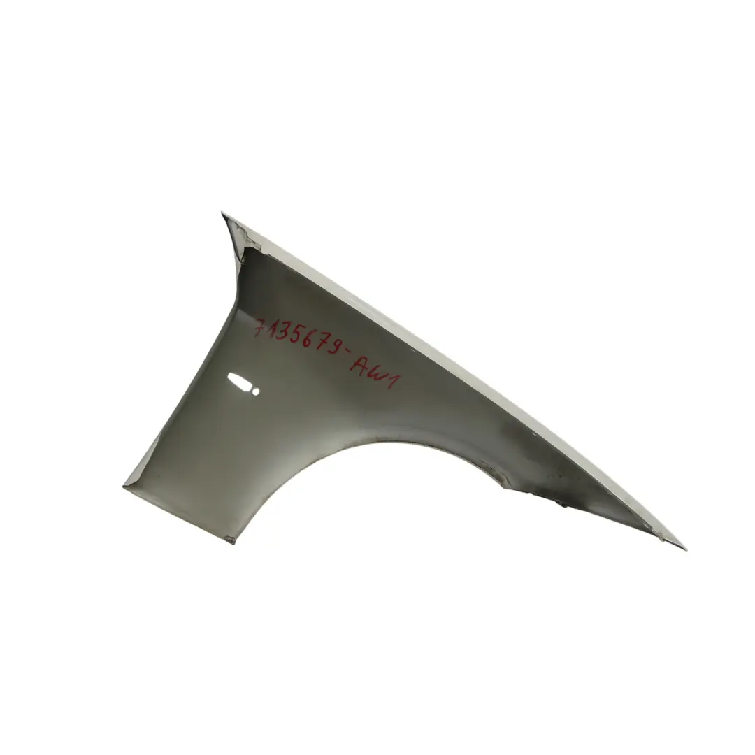 BMW E90 E91 Panel Lateral Delantero Izquierdo Alpinweiss 3 Blanco - 300 - SKU 7135679-AW1 - Número de pieza 7135679
