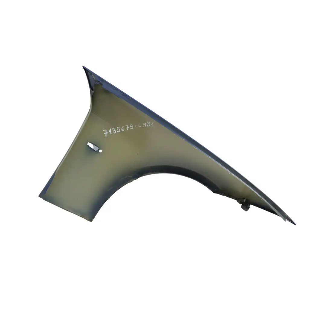 BMW E90 E91 Panel Lateral Delantero Izquierdo Guardabarros Le Mans Blue - 381 - SKU 7135679-LMB1 - Número de pieza 7135679