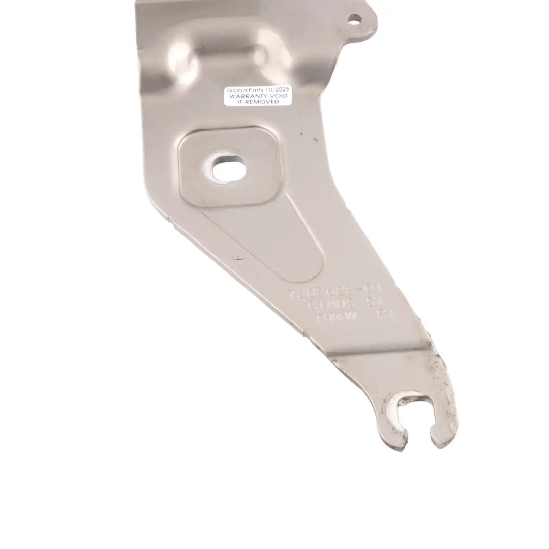 BMW X5 E70 X6 E71 Cerniera Cofano Destro Platino Bronzo Metallizzato A53 7208628 - SKU 7198618-PB - Numero di parte 7198618