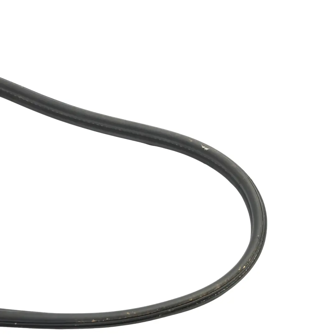 BMW F10 F11 Kofferraumklappe Heckklappe Dichtung - SKU 7204298 - Teilenummer 7204298